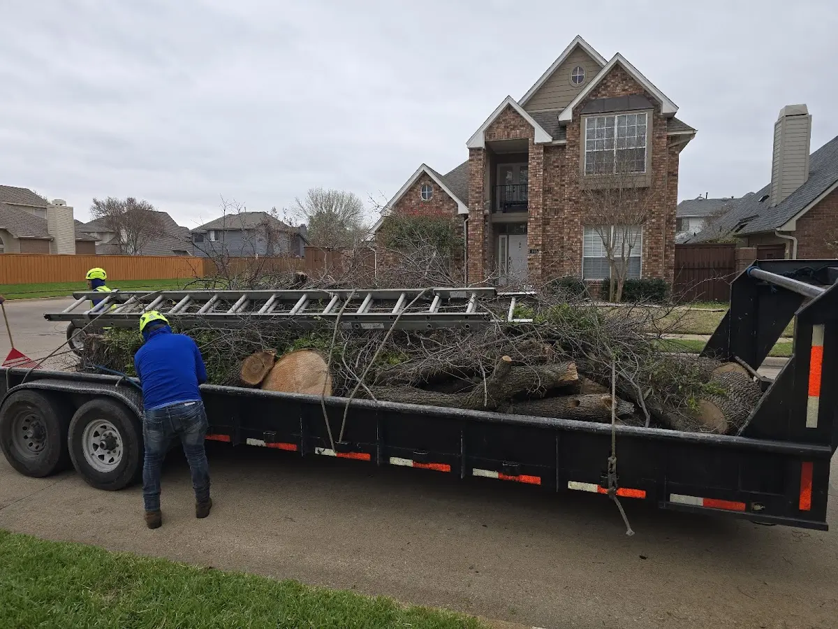 Expert Tree Fertilization with proper safety equipment in Fort Rucker